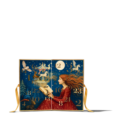 La Sablésienne French Biscuit Advent Calendar 290g