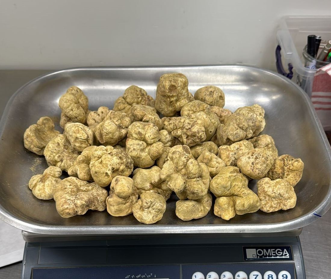 Fresh White Truffles from Alba thumbnail 2