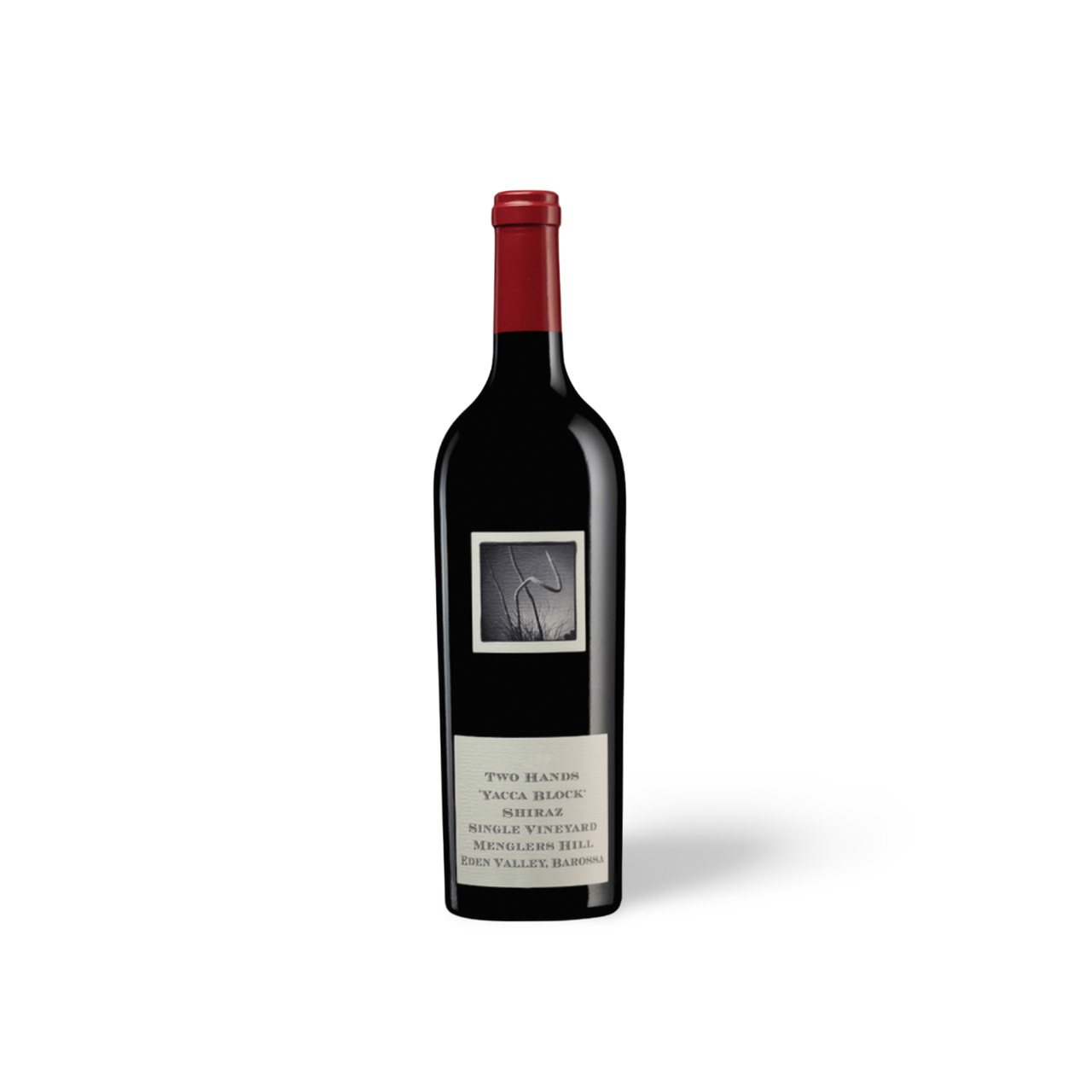 Processed image with background removed