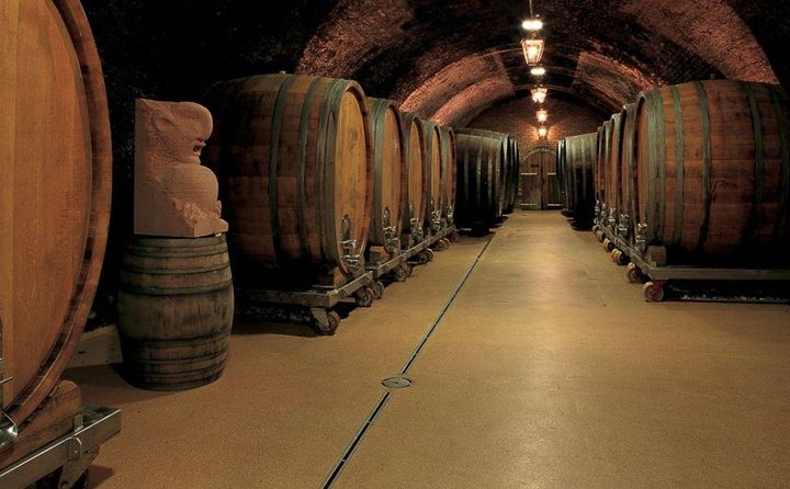 SCHLOSS GOBELSBURG IN MANILA: MICHAEL MOOSBRUGGER AND THE ELEGANCE OF AUSTRIAN WINE