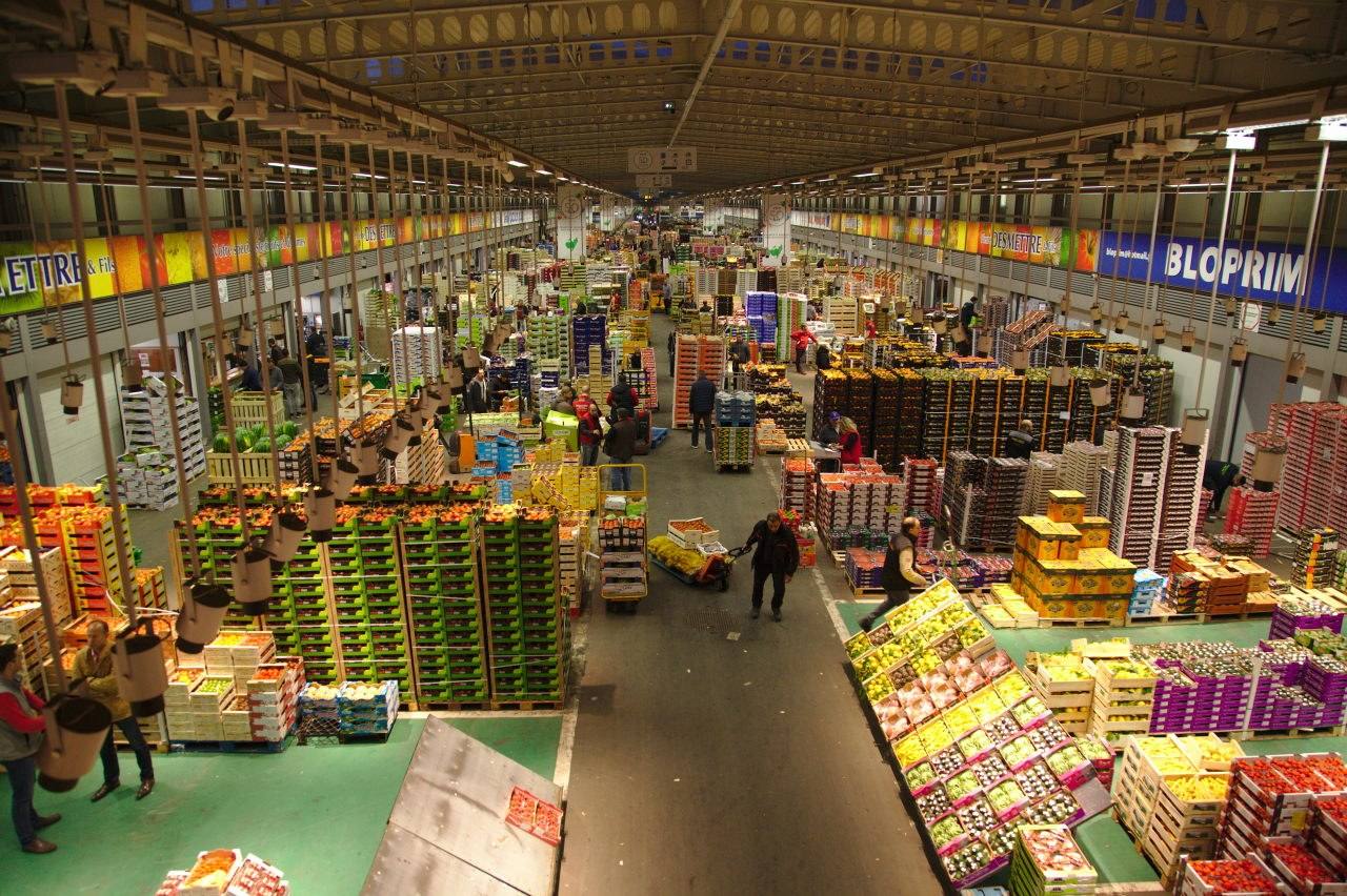 A peek at the Produce Section of Rungis International Market, the largest market in the world. The entire complex covers 232 hectares and is slightly larger than the Principality of Monaco.