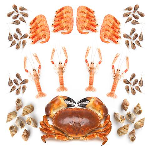 Air-flown Seafood Platter