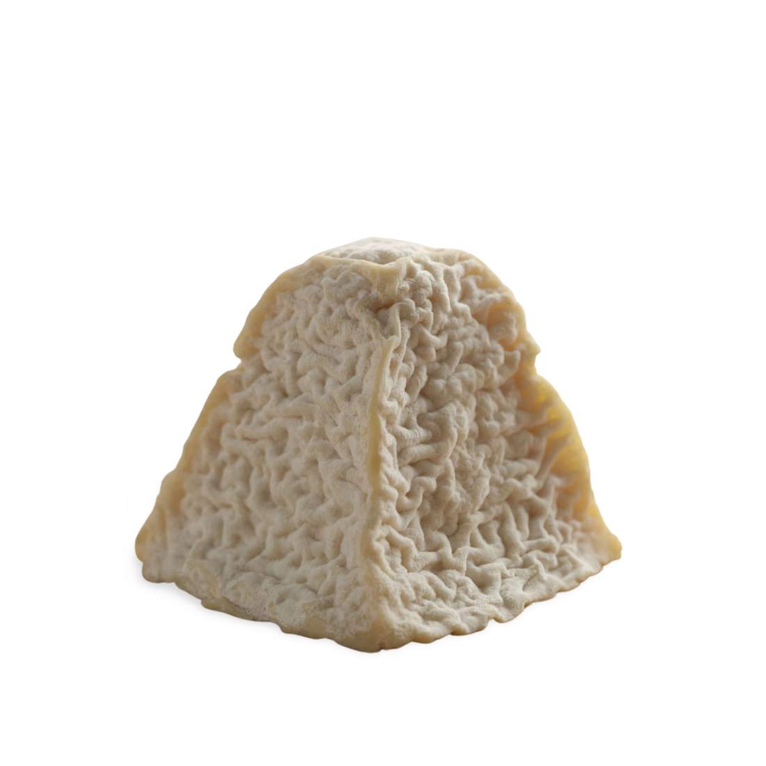 Pouligny-St Pierre Cheese AOP 1