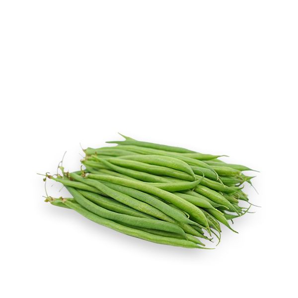 Exceptional Fresh Green Beans from Kenya 1