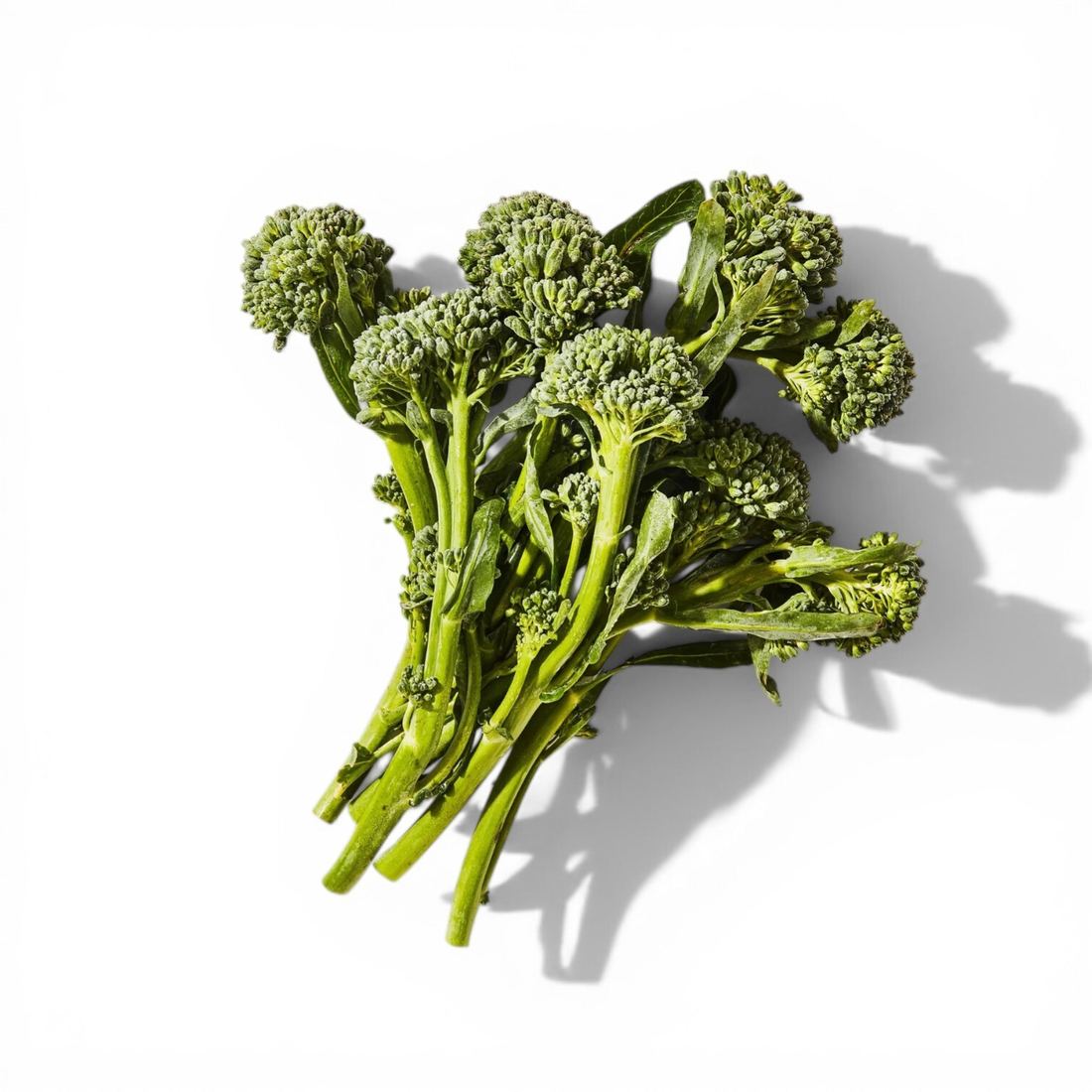 Broccolini (Portugal) 1
