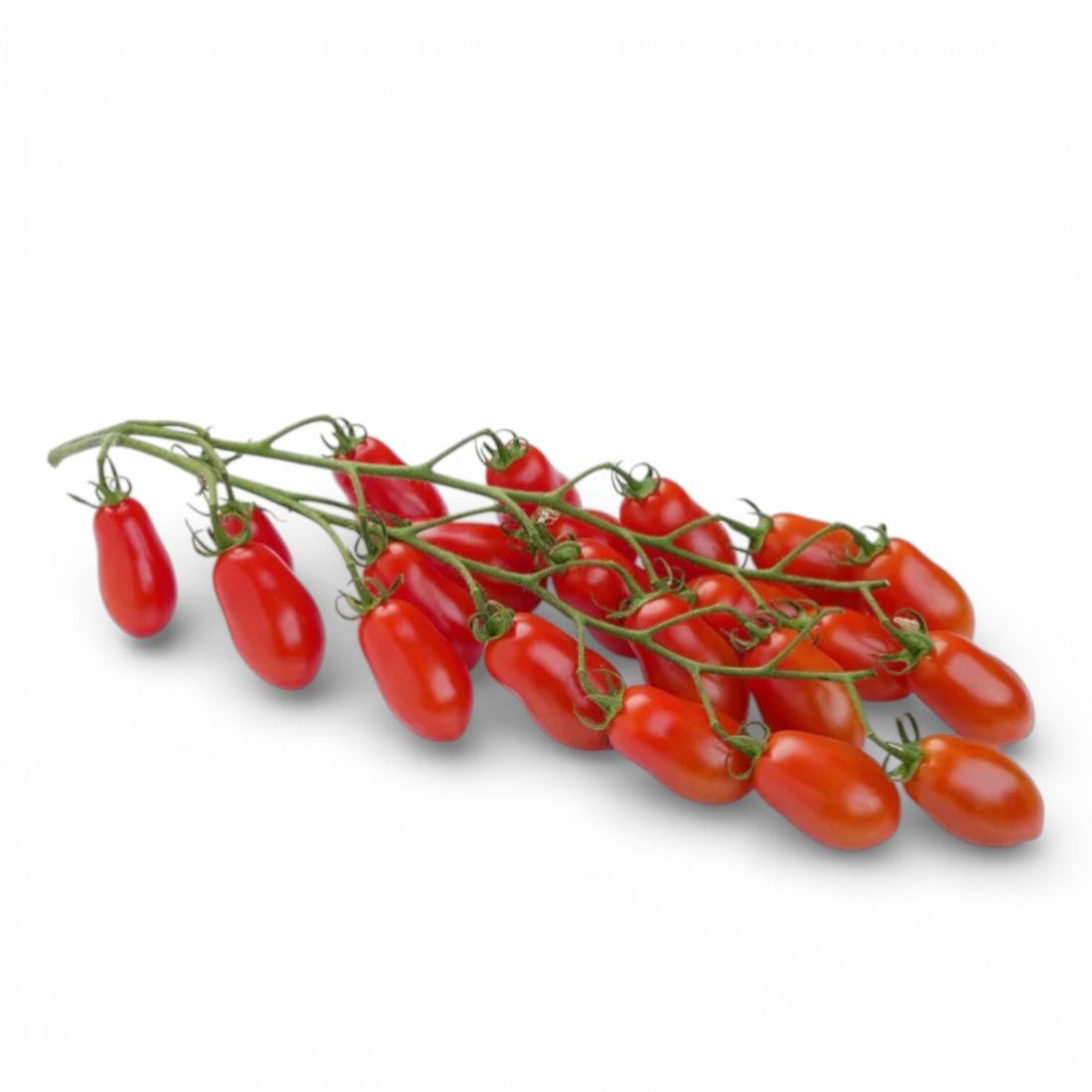 Datterino Cherry Tomatoes thumbnail 5