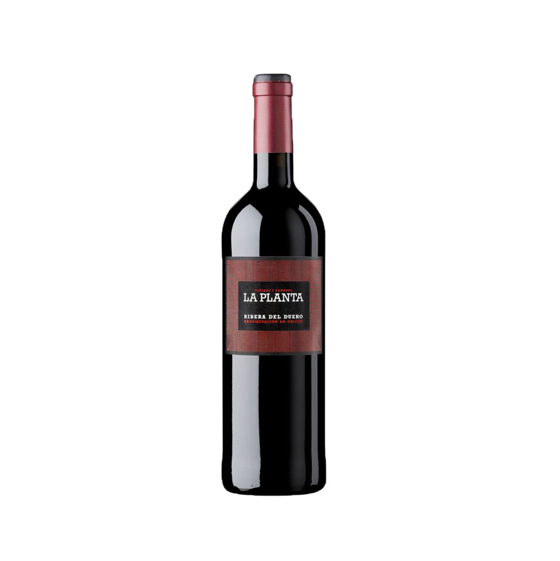 Bodegas Arzuaga Navarro La Planta 1
