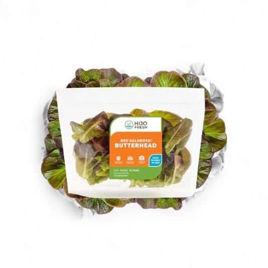 Red Salanova Butterhead Lettuce by Hijo Fresh 1