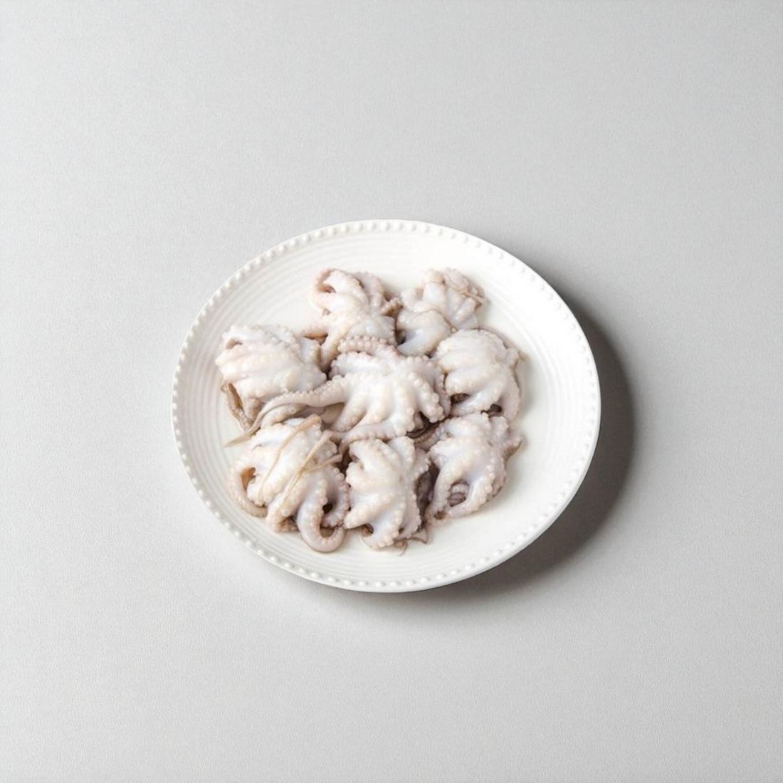Mini Octopus 1