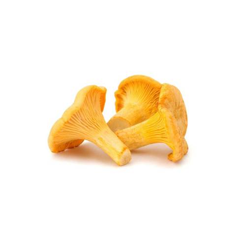 Fresh Chanterelles from France