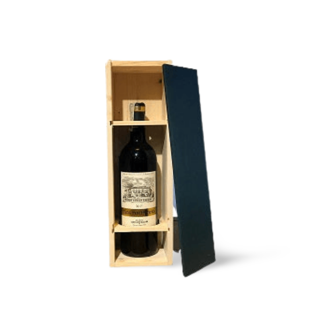 Processed image with background removed