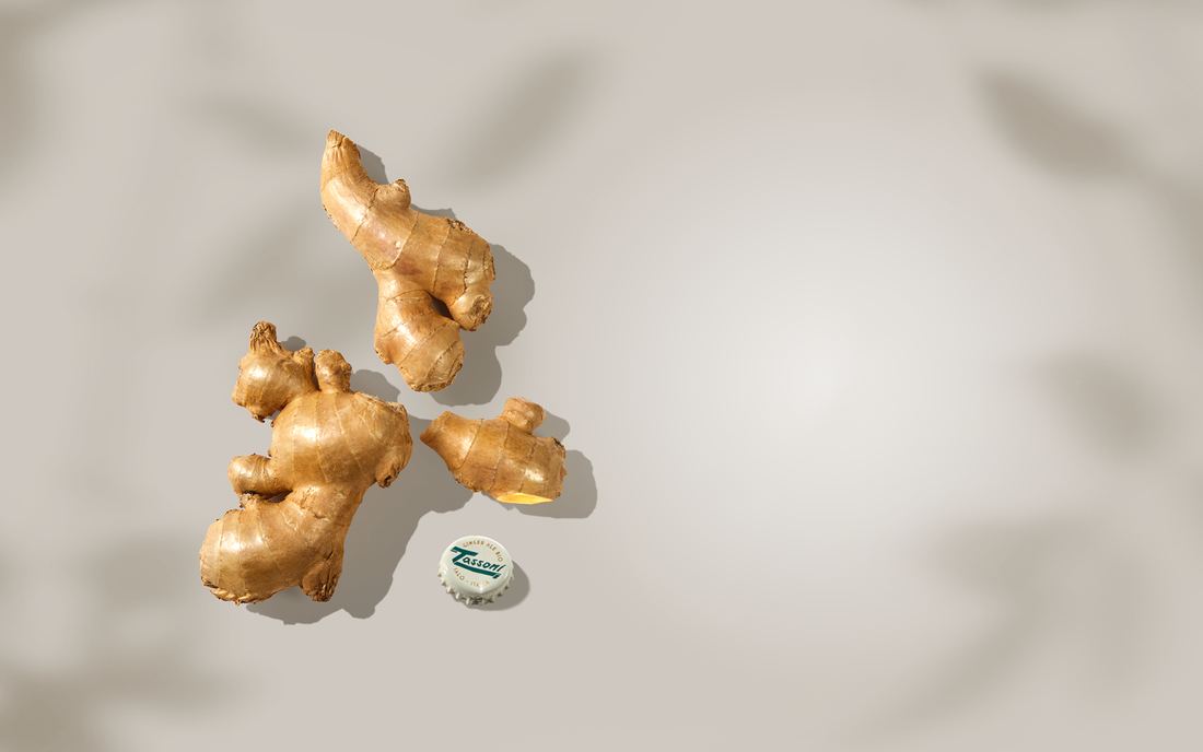Tassoni Ginger Ale La Biologica 180ml thumbnail 2