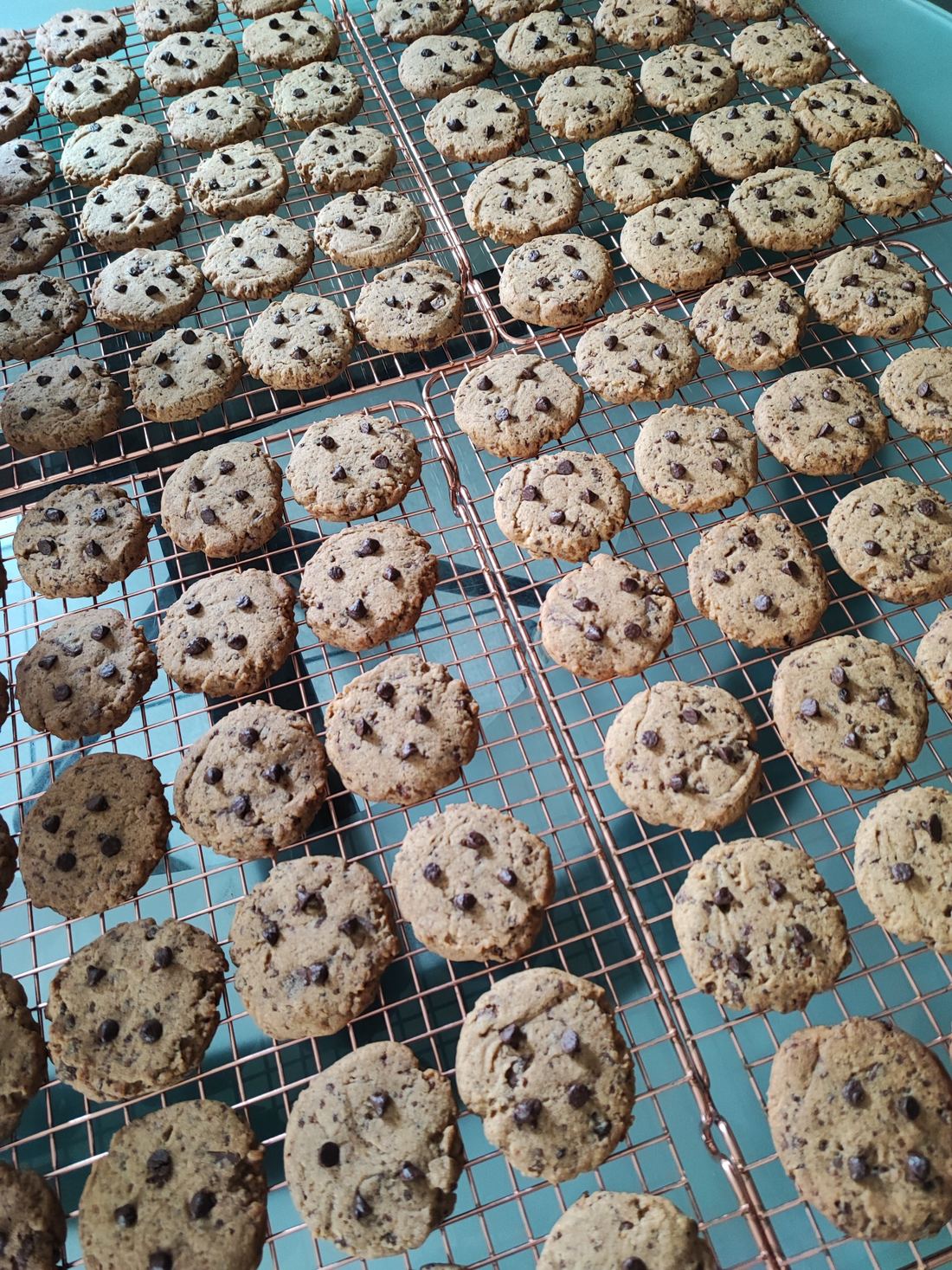 Casa Saporzi Choco Chip Bourbon Sablé Cookies thumbnail 5