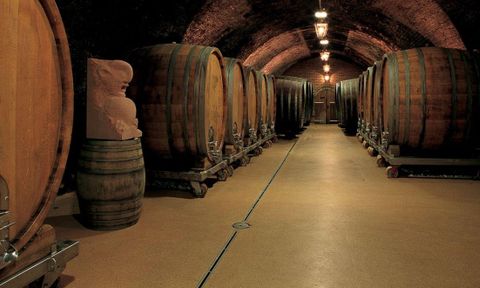 SCHLOSS GOBELSBURG IN MANILA: MICHAEL MOOSBRUGGER AND THE ELEGANCE OF AUSTRIAN WINE