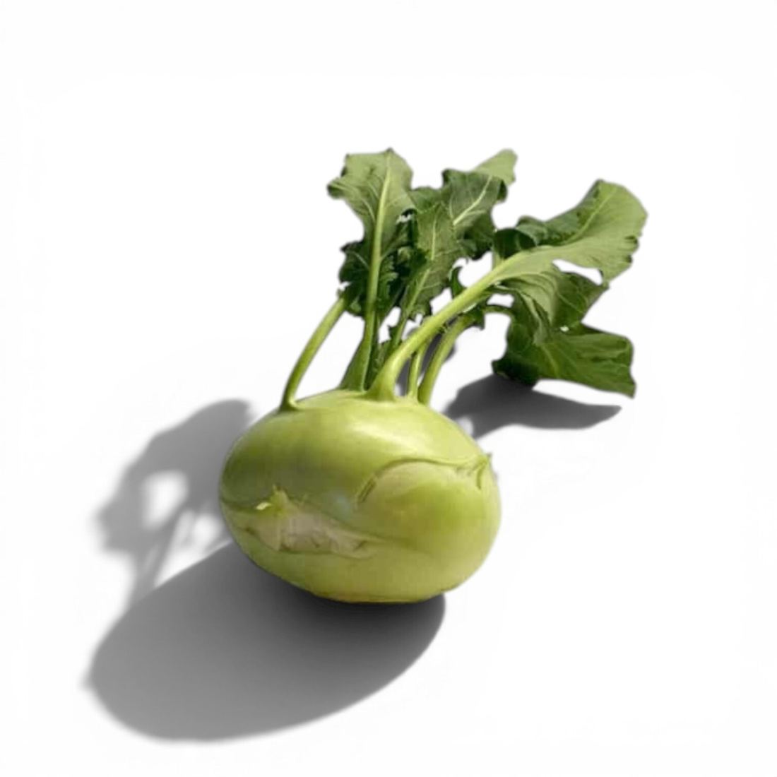 Kohlrabi 1