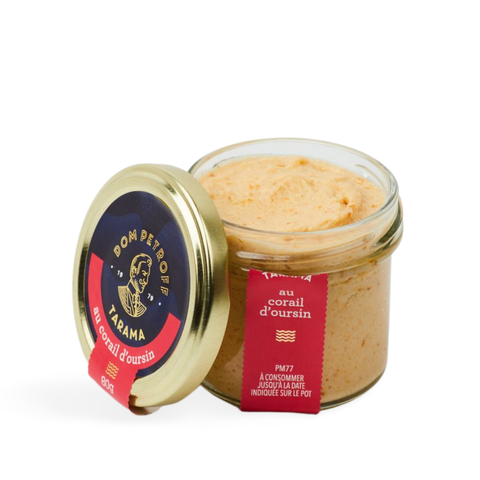Dom Petroff Tarama with Sea Urchin Coral (Uni)