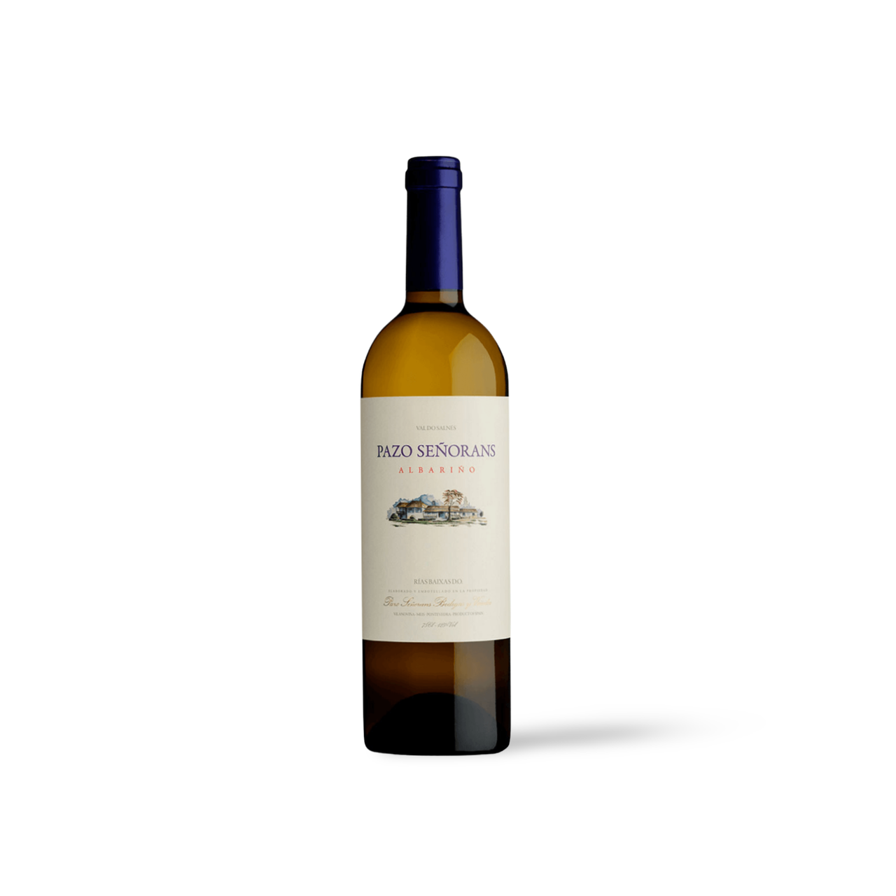 Processed image with background removed