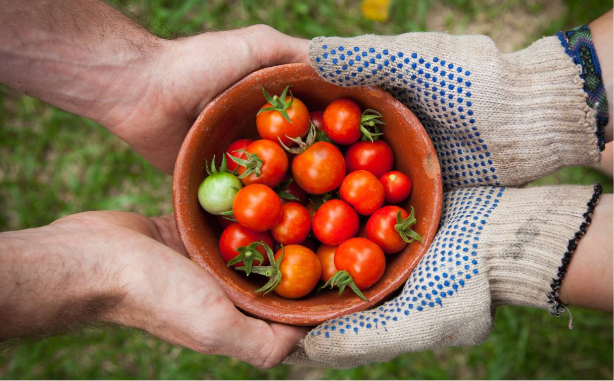 From farm to table. We explore the way food defines us as a humanity.