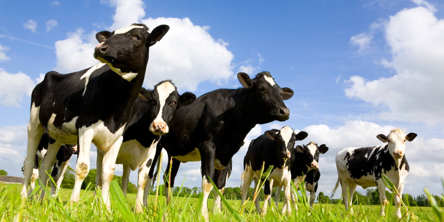 Is France running out of Butter?