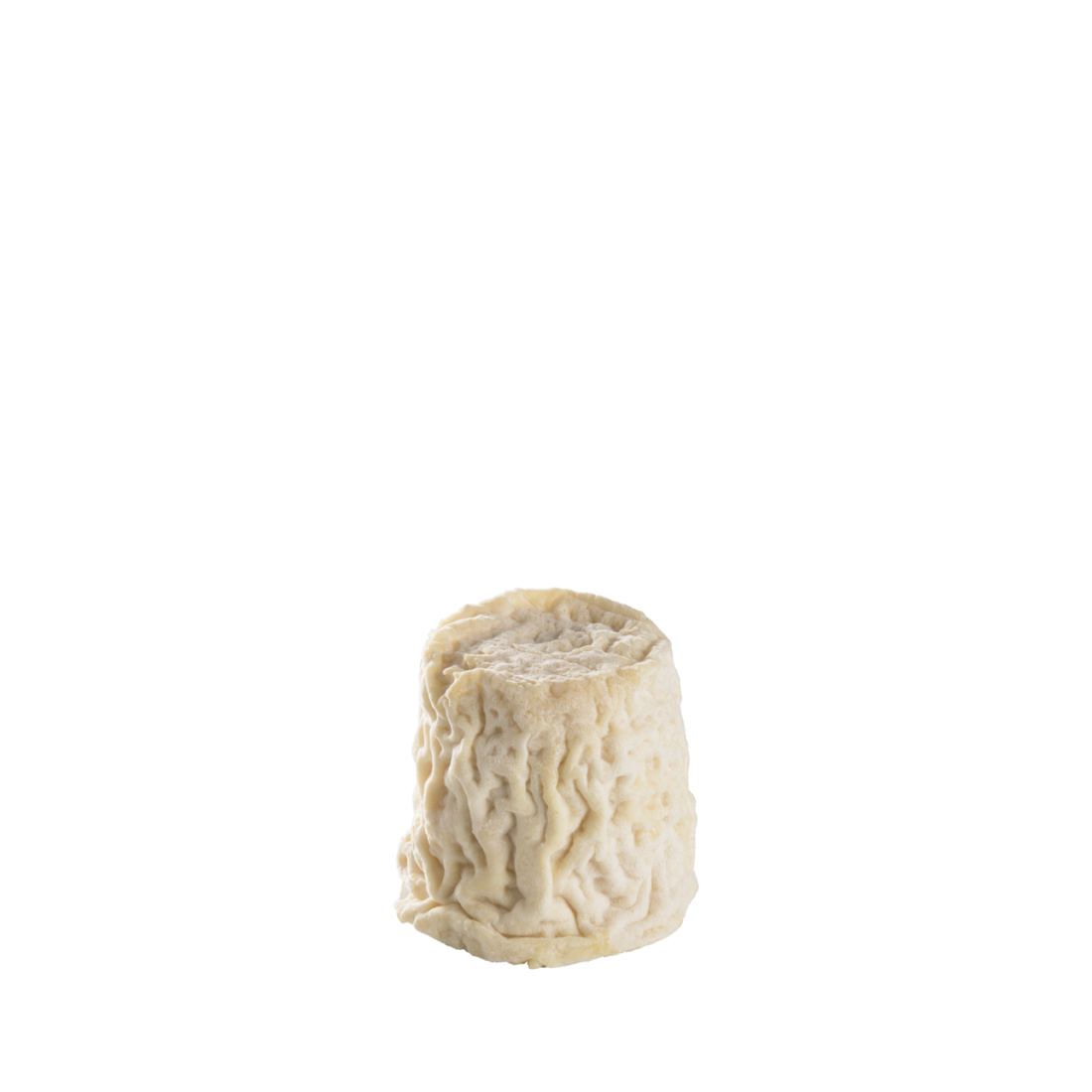 Chabichou du Poitou 1