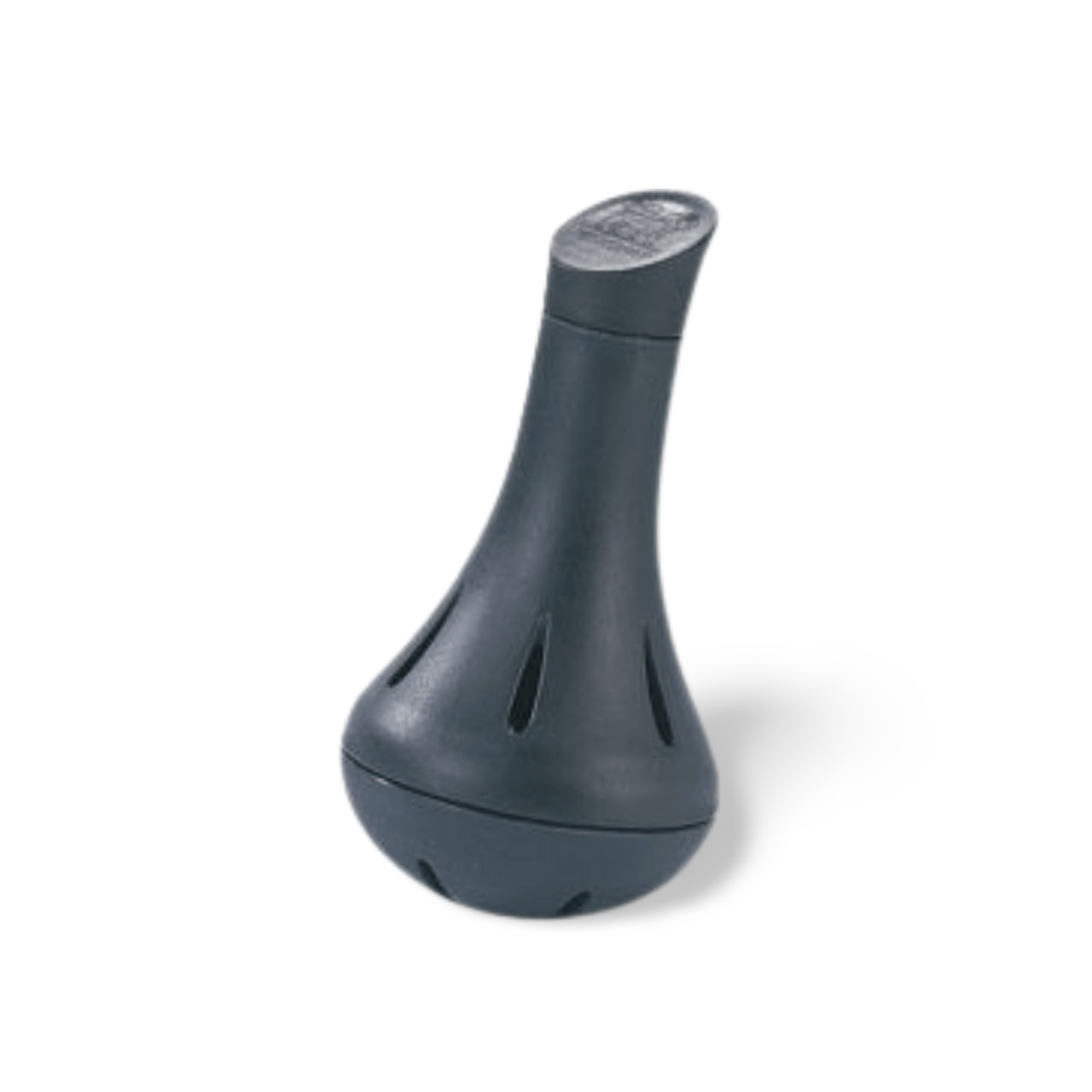 Processed image with background removed