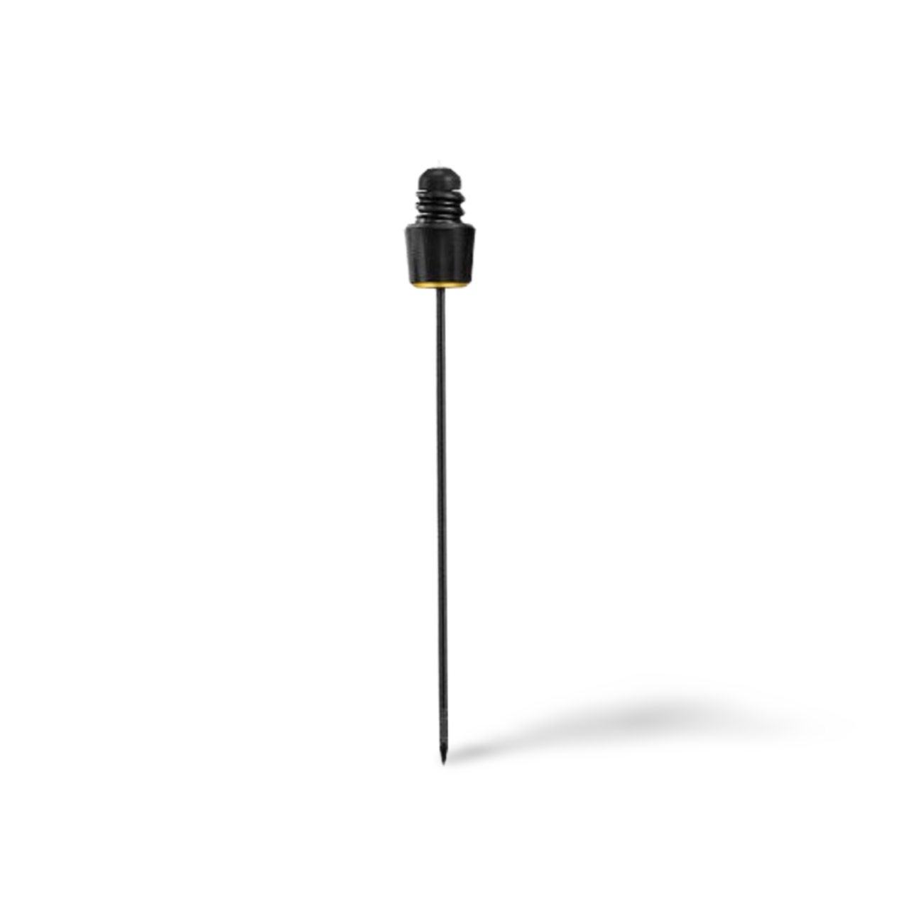 Processed image with background removed