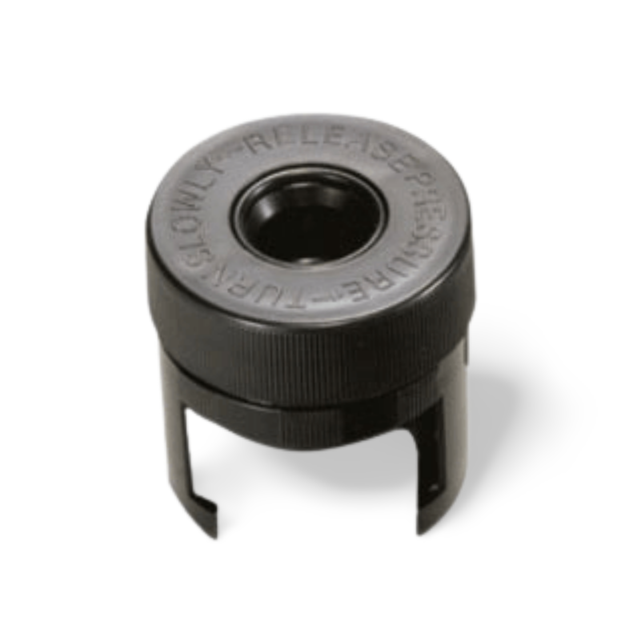 Processed image with background removed