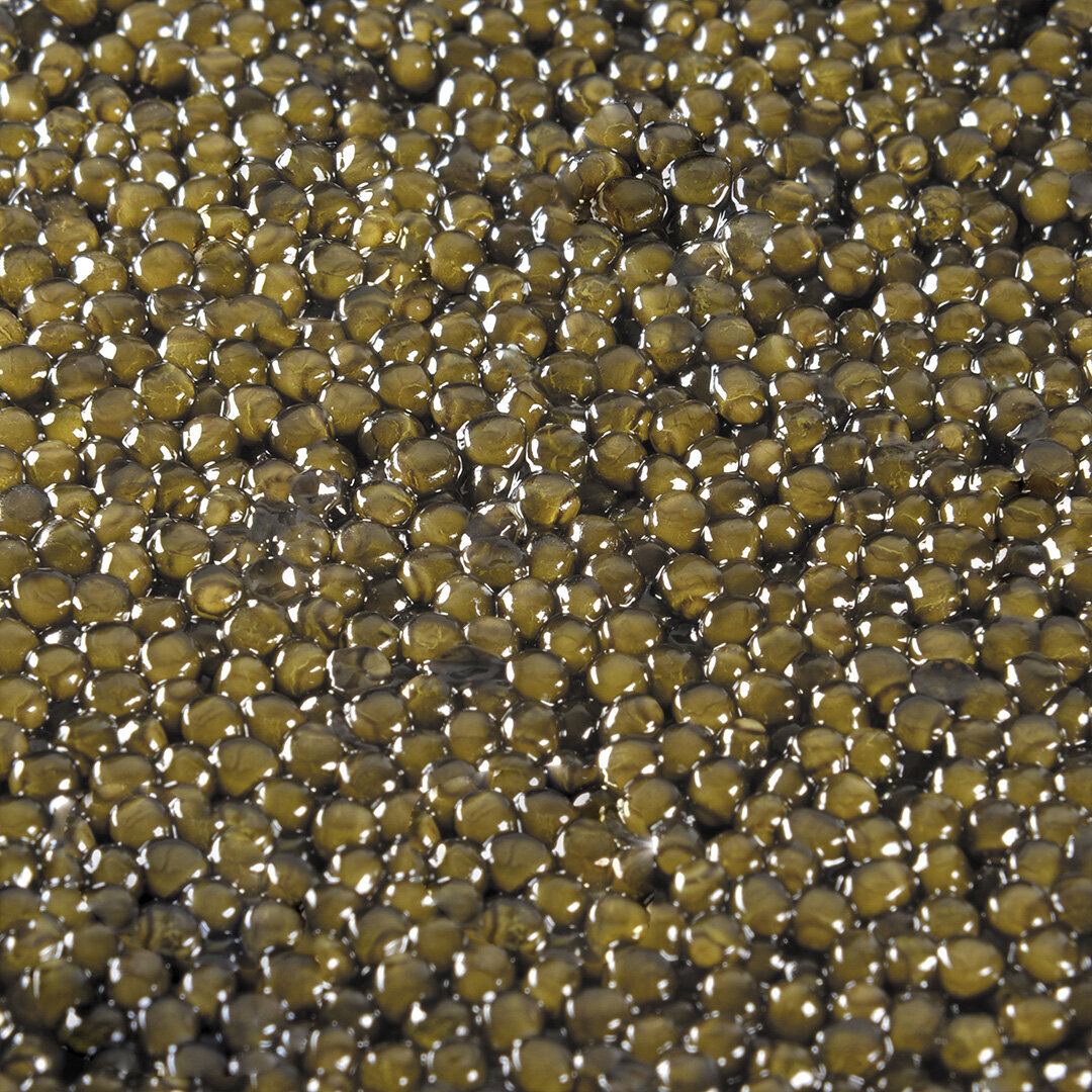 Astara Oscietra Caviar Box with Spoon thumbnail 2