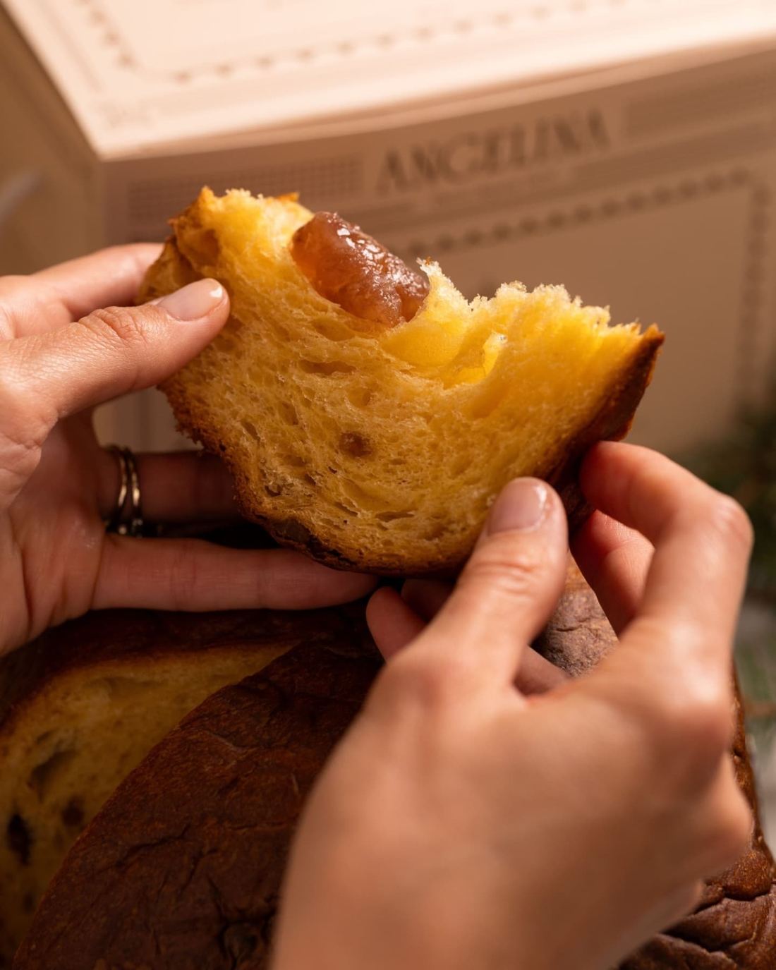 Angelina Panettone with Candied Chestnuts thumbnail 3