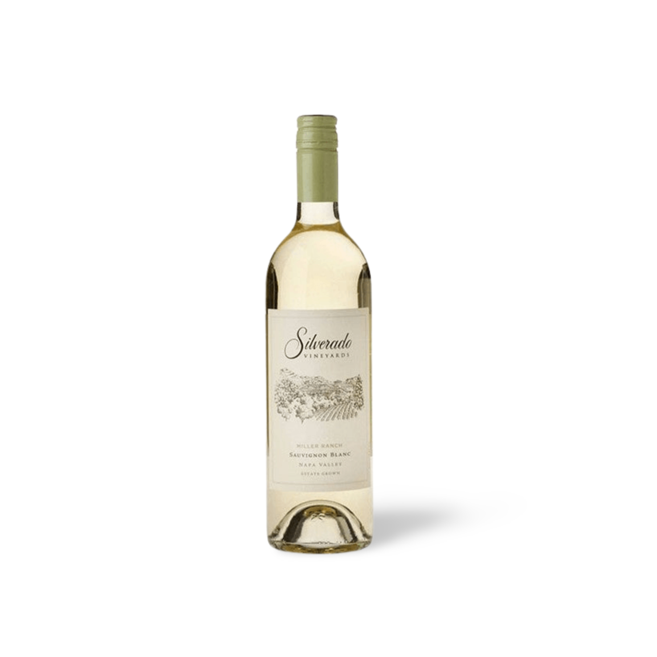 Processed image with background removed