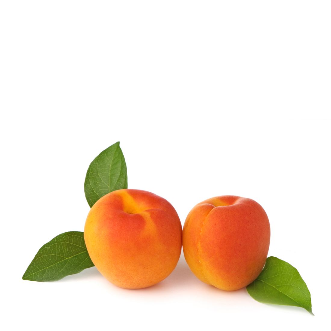 Apricot Chambertine 1