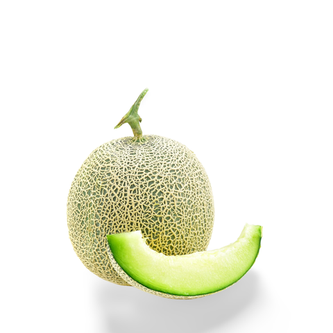 Japanese Musk Melon