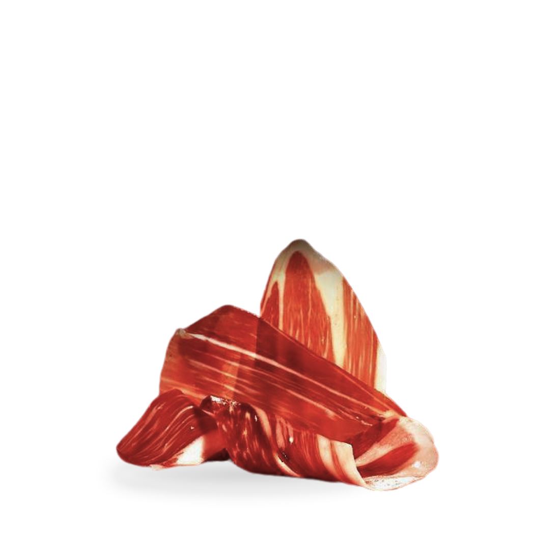 Montaraz Jamón Ibérico de Bellota 1