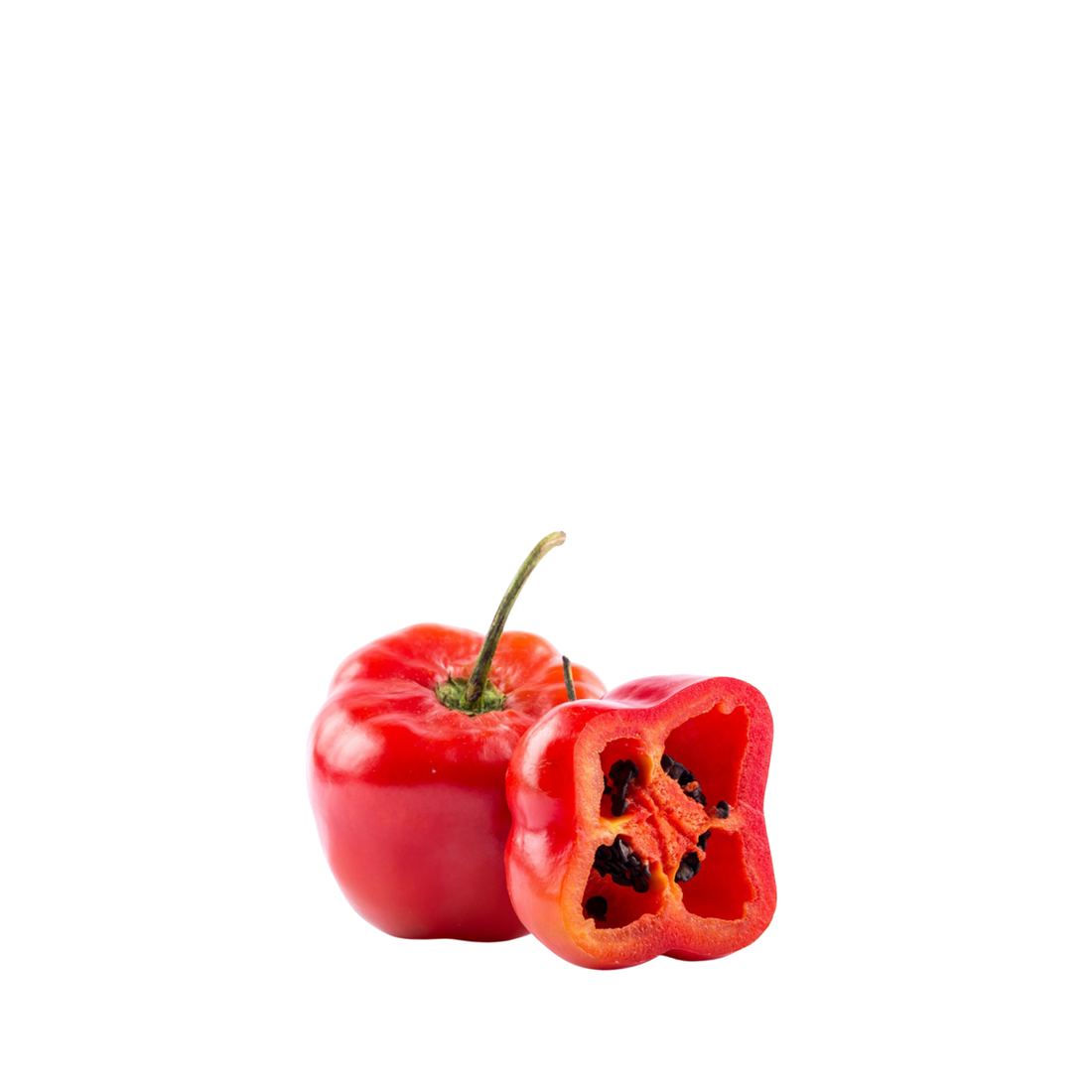 Aji Rocoto (Hot Red Bell Pepper) thumbnail 2