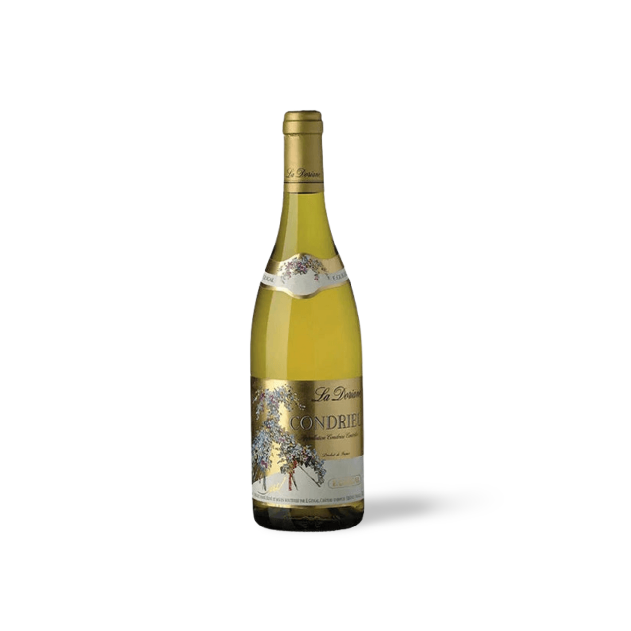 Processed image with background removed