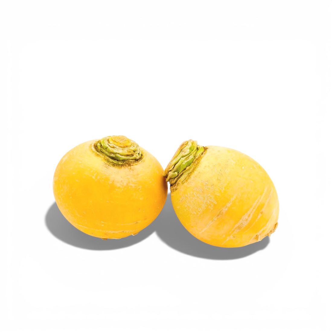 Golden Ball Turnip (France) 1