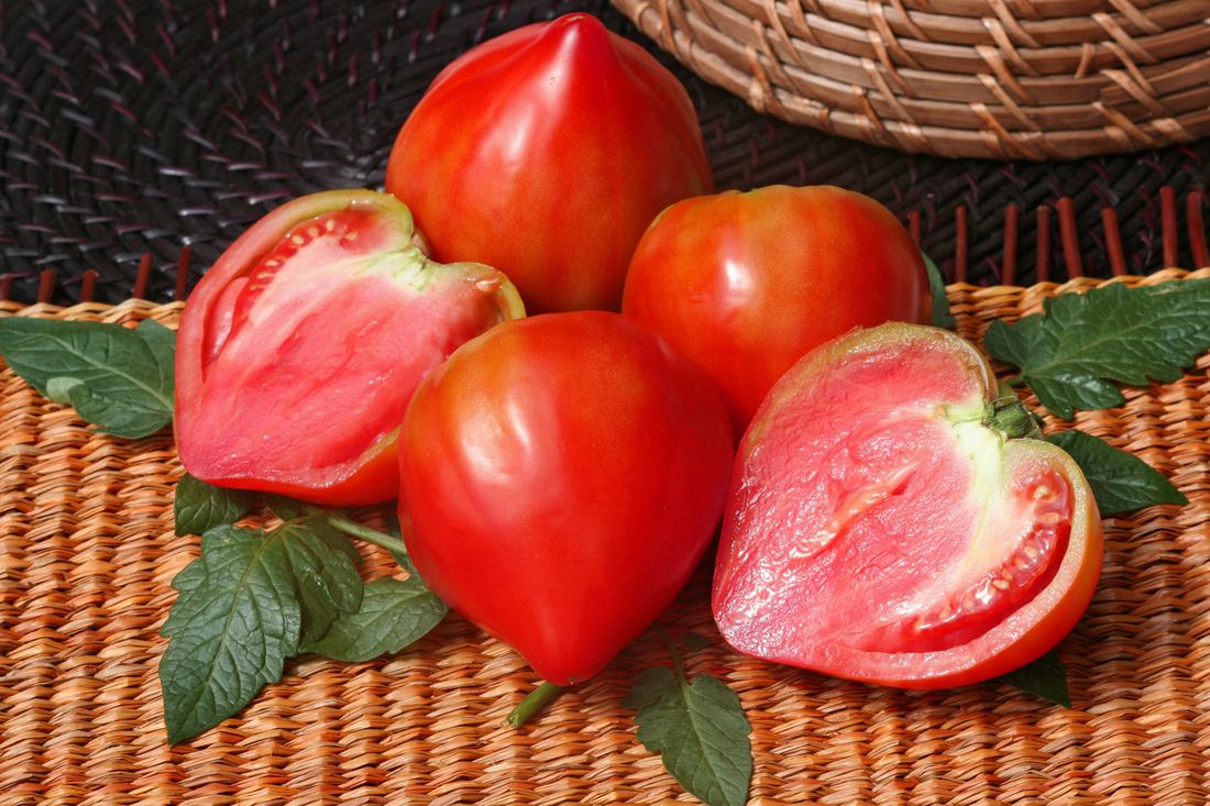 Fresh Beefsteak Tomatoes (Coeur de Beuf) from France 1