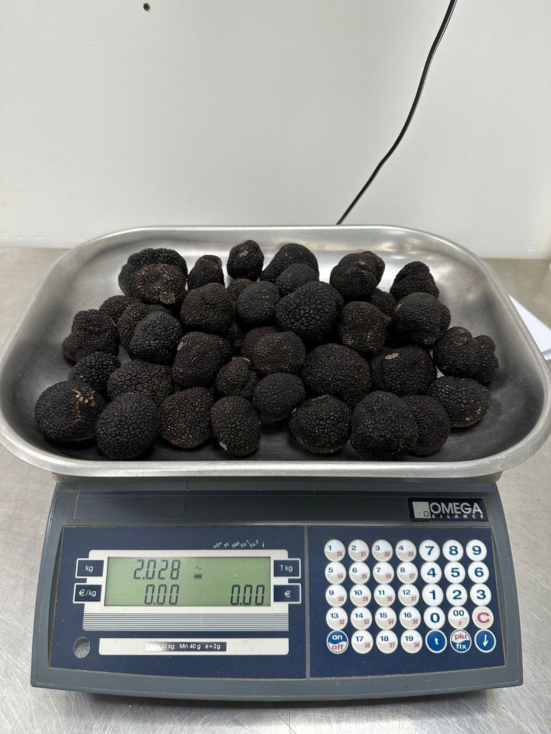 Fresh Black Winter Truffle (Tuber Melanosporum) thumbnail 2