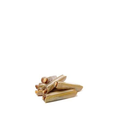 Fresh Razor Clams from France