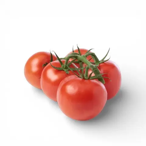 Salad Tomatoes on the Vine