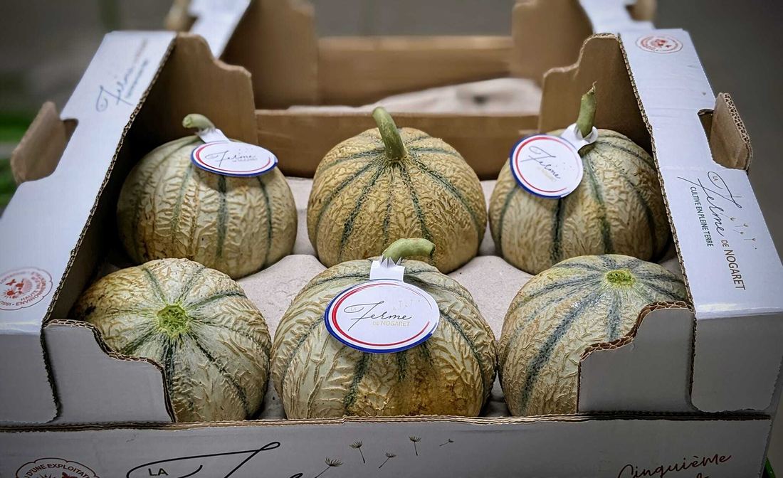 Cavaillon Melon by Ferme de Nogaret 1