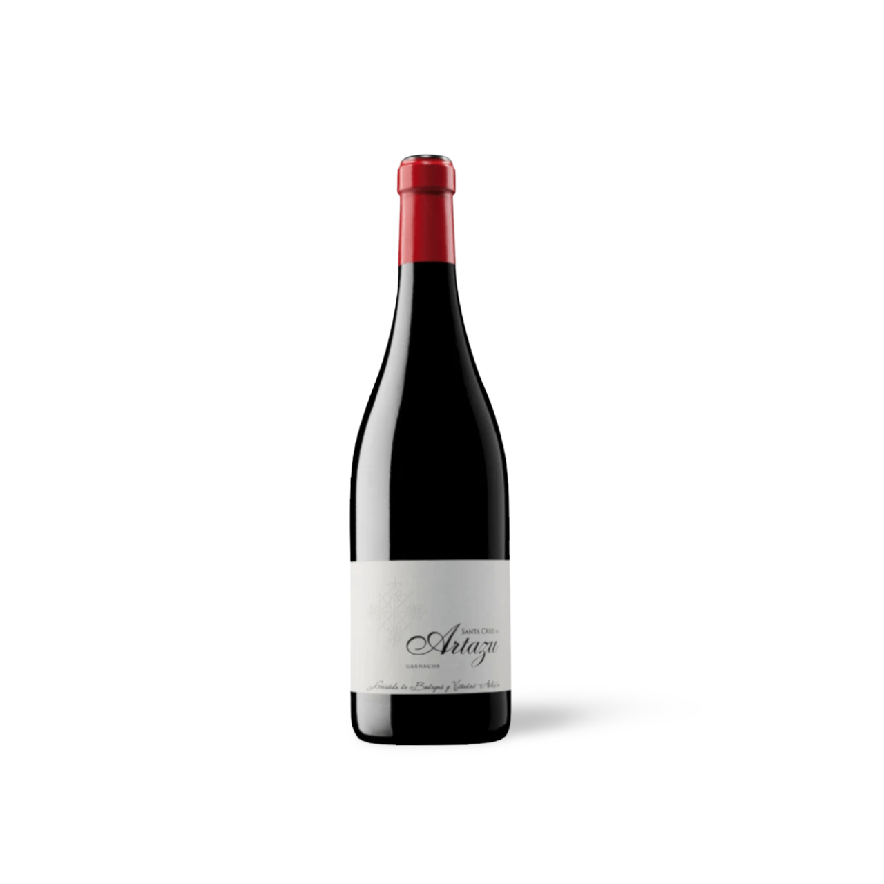 Processed image with background removed