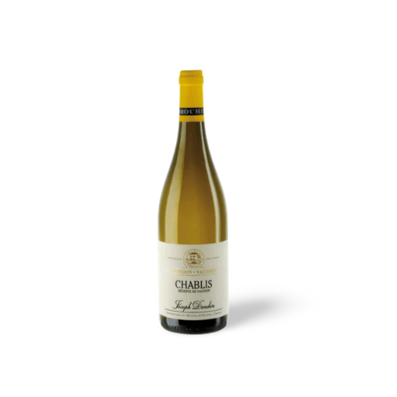 Processed image with background removed